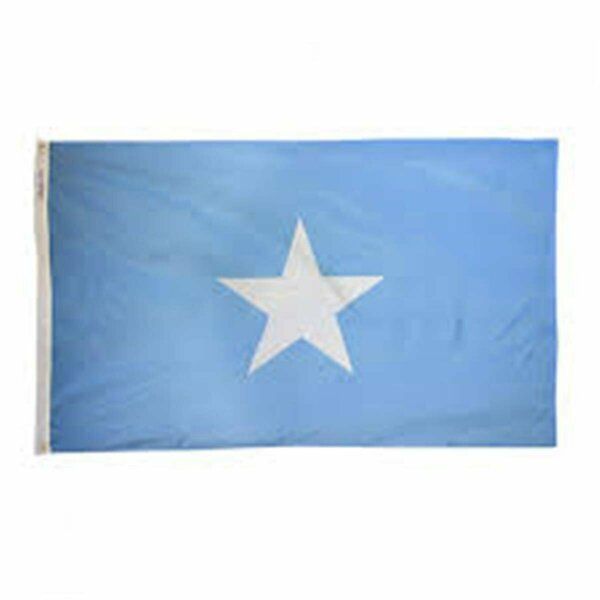 Ss Collectibles 3 ft. x 5 ft. Nyl-Glo Somalia Flag SS2757244